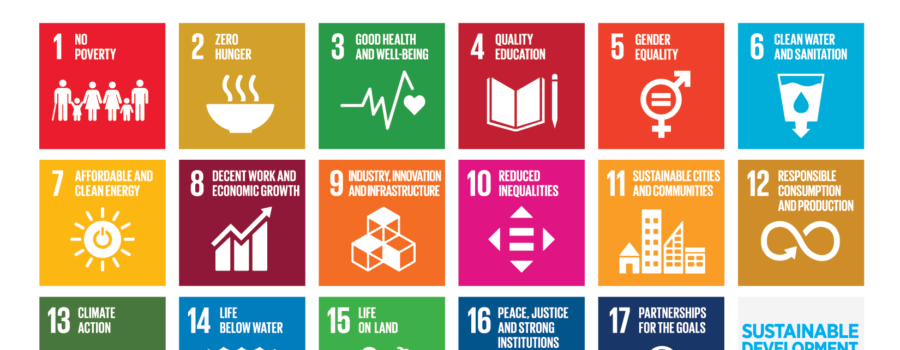 17 UN Sustainable Development Goals