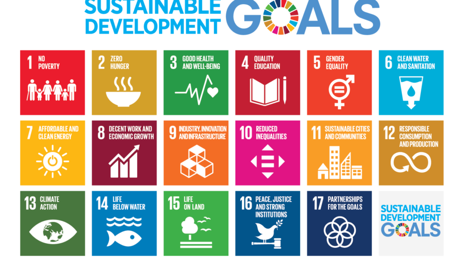 17 UN Sustainable Development Goals