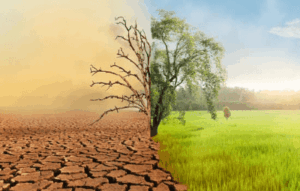 The Interplay of Social Change, Social Impact, and Social Justice 1 social change